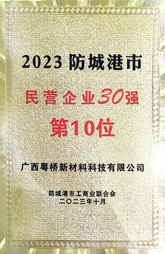 2023防城港民企30強第10位